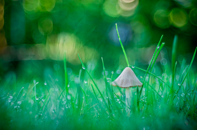 Finding Space to Breathe: How Consistent Practice Transforms Your Life